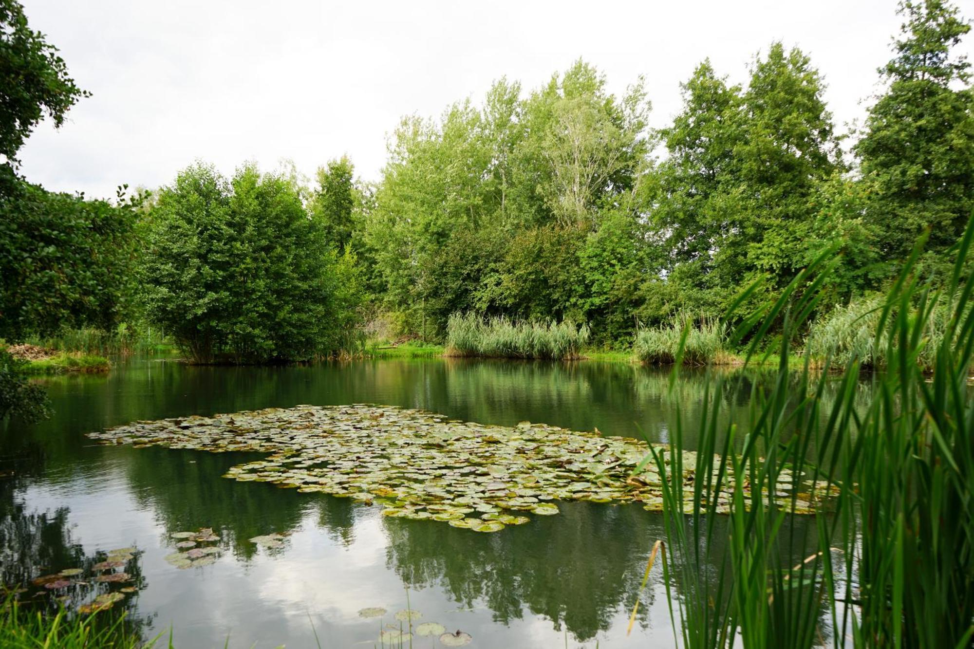 Slube An Den Teichen Hoher Flaeming Rottstock Luaran gambar